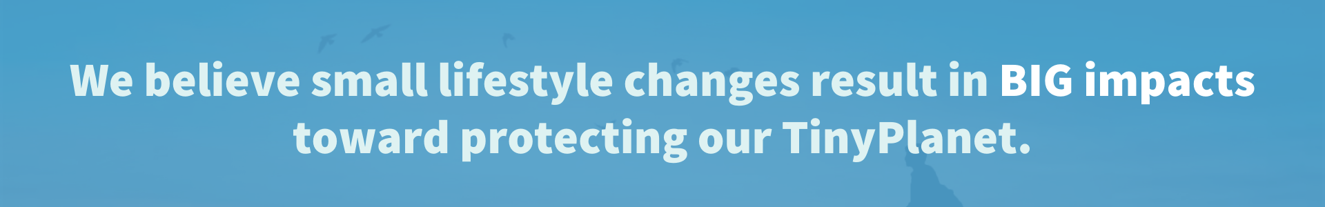 We believe small lifestyle changes results in big impacts towards protecting our TinyPlanet.