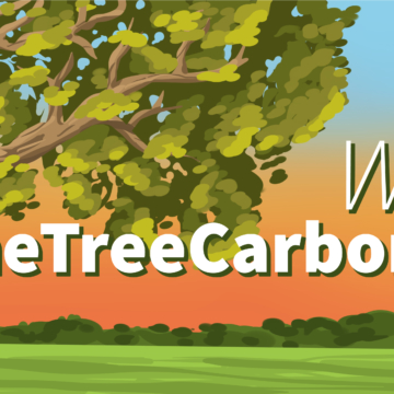 All about our FREE new challenge: the #OneTreeCarbonChallenge